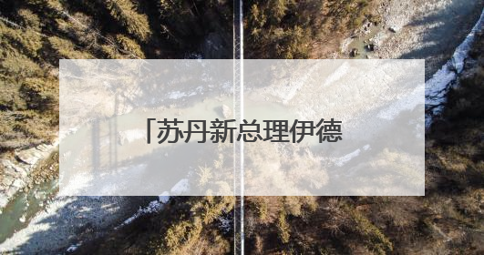苏丹新总理伊德里斯宣誓就职