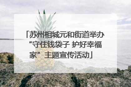 苏州相城元和街道举办“守住钱袋子 护好幸福家”主题宣传活动