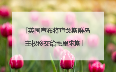 英国宣布将查戈斯群岛主权移交给毛里求斯