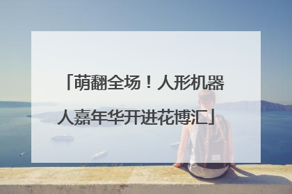 萌翻全场！人形机器人嘉年华开进花博汇