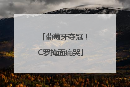 葡萄牙夺冠！C罗掩面痛哭