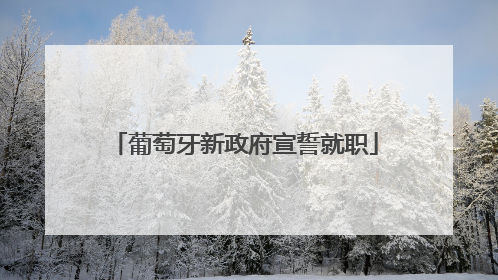 葡萄牙新政府宣誓就职