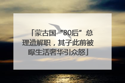 蒙古国“80后”总理遭解职，其子此前被曝生活奢华引众怒