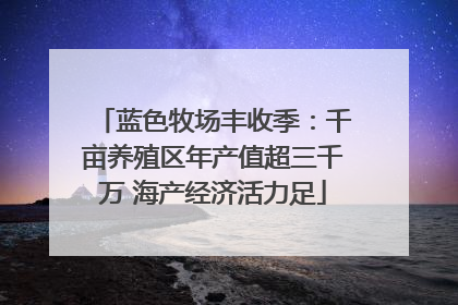 蓝色牧场丰收季：千亩养殖区年产值超三千万 海产经济活力足