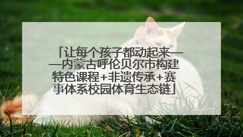 让每个孩子都动起来——内蒙古呼伦贝尔市构建特色课程+非遗传承+赛事体系校园体育生态链