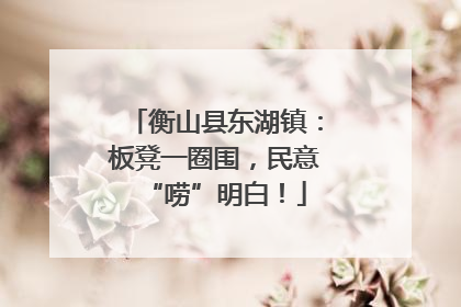衡山县东湖镇：板凳一圈围，民意“唠”明白！