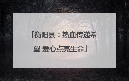 衡阳县：热血传递希望 爱心点亮生命