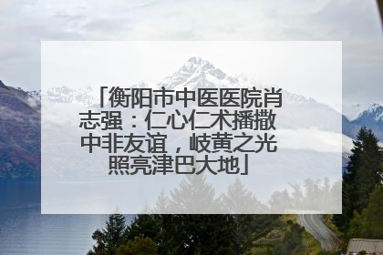 衡阳市中医医院肖志强：仁心仁术播撒中非友谊，岐黄之光照亮津巴大地