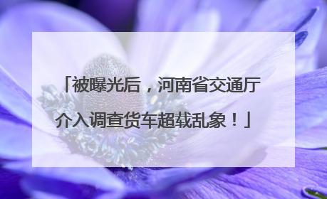 被曝光后，河南省交通厅介入调查货车超载乱象！