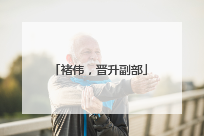 褚伟，晋升副部