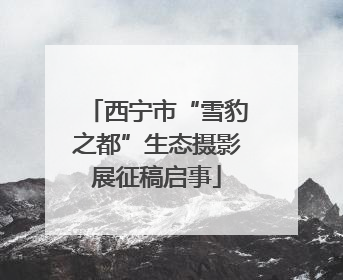 西宁市“雪豹之都”生态摄影展征稿启事