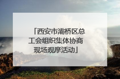 西安市灞桥区总工会组织集体协商现场观摩活动