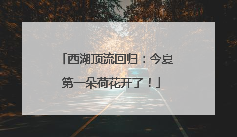 西湖顶流回归：今夏第一朵荷花开了！