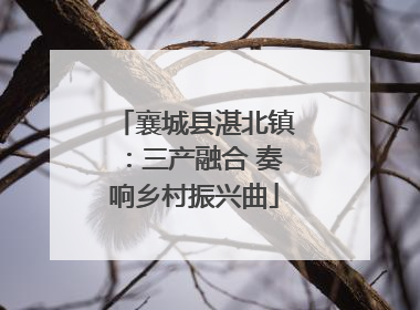 襄城县湛北镇：三产融合 奏响乡村振兴曲
