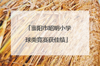 襄阳市昭明小学球类竞赛获佳绩
