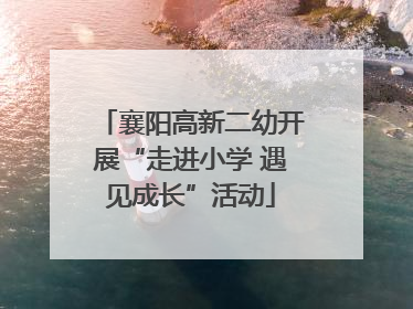 襄阳高新二幼开展“走进小学 遇见成长”活动