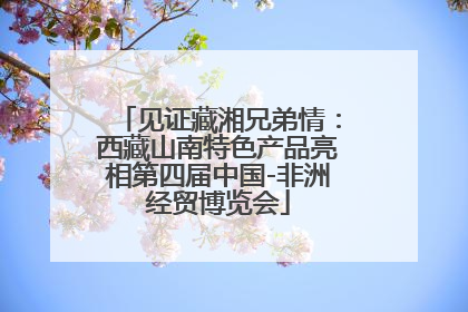 见证藏湘兄弟情：西藏山南特色产品亮相第四届中国-非洲经贸博览会