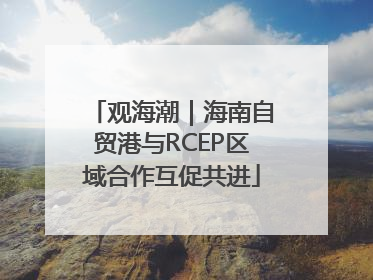 观海潮｜海南自贸港与RCEP区域合作互促共进