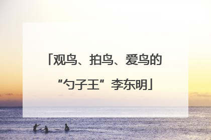 观鸟、拍鸟、爱鸟的“勺子王”李东明