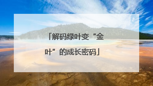 解码绿叶变“金叶”的成长密码