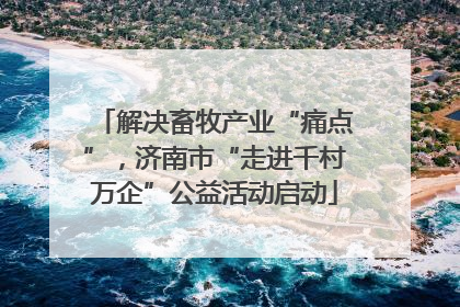 解决畜牧产业“痛点”，济南市“走进千村万企”公益活动启动