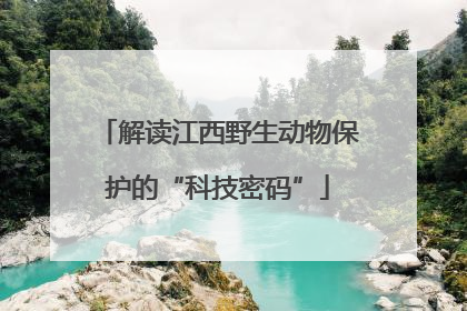 解读江西野生动物保护的“科技密码”