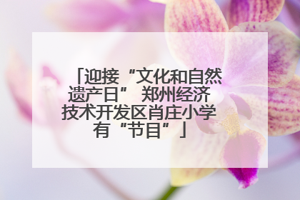 迎接“文化和自然遗产日” 郑州经济技术开发区肖庄小学有“节目”