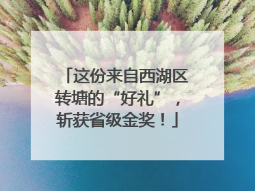 这份来自西湖区转塘的“好礼”，斩获省级金奖！
