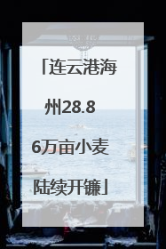 连云港海州28.86万亩小麦陆续开镰