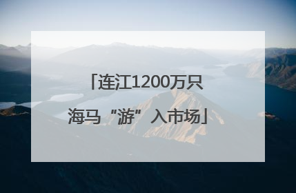 连江1200万只海马“游”入市场