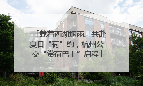 载着西湖烟雨、共赴夏日“荷”约，杭州公交“赏荷巴士”启程