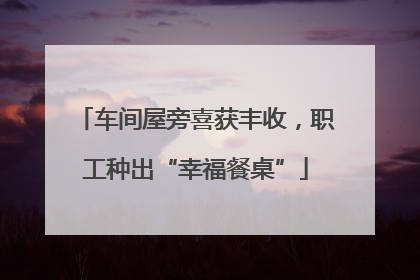 车间屋旁喜获丰收，职工种出“幸福餐桌”