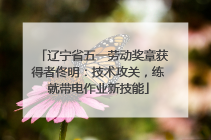 辽宁省五一劳动奖章获得者佟明：技术攻关，练就带电作业新技能