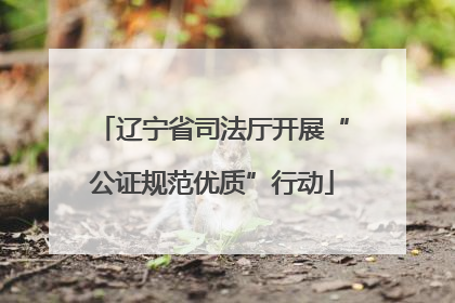 辽宁省司法厅开展“公证规范优质”行动