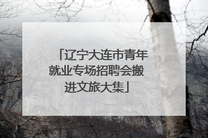 辽宁大连市青年就业专场招聘会搬进文旅大集