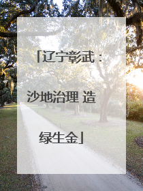 辽宁彰武：沙地治理 造绿生金