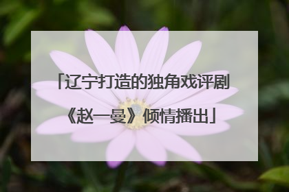 辽宁打造的独角戏评剧《赵一曼》倾情播出