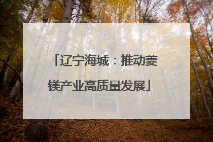 辽宁海城：推动菱镁产业高质量发展