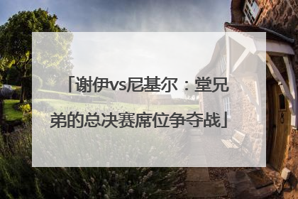 谢伊vs尼基尔：堂兄弟的总决赛席位争夺战