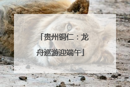 贵州铜仁：龙舟巡游迎端午