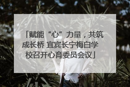 赋能“心”力量，共筑成长桥 宜宾长宁梅白学校召开心育委员会议