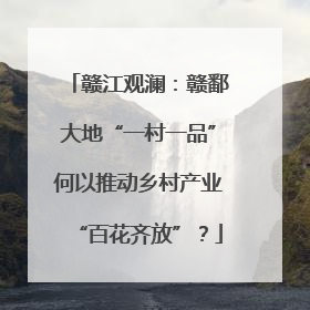 赣江观澜：赣鄱大地“一村一品”何以推动乡村产业“百花齐放”？