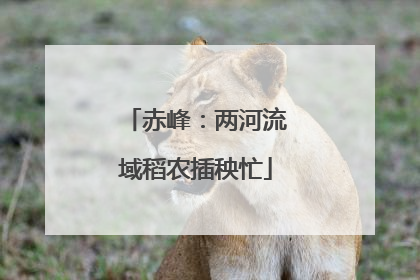 赤峰：两河流域稻农插秧忙
