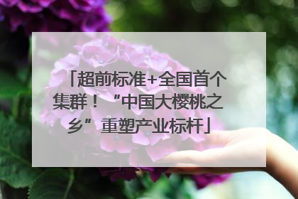 超前标准+全国首个集群！“中国大樱桃之乡”重塑产业标杆