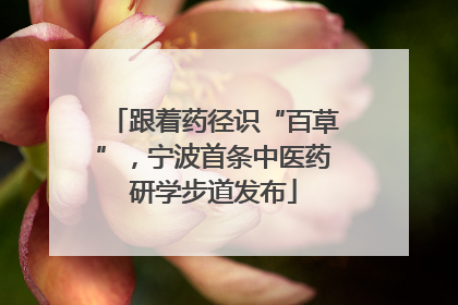 跟着药径识“百草”，宁波首条中医药研学步道发布