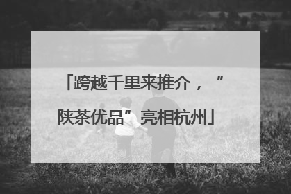 跨越千里来推介，“陕茶优品”亮相杭州