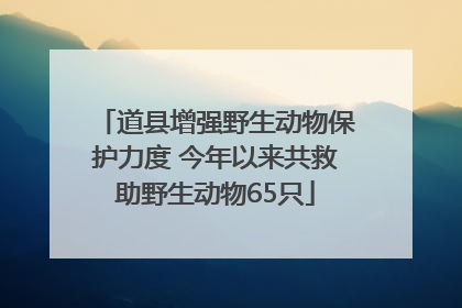 道县增强野生动物保护力度 今年以来共救助野生动物65只