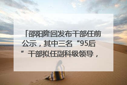 邵阳隆回发布干部任前公示，其中三名“95后”干部拟任副科级领导，均系硕士选调生