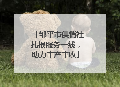 邹平市供销社扎根服务一线，助力丰产丰收