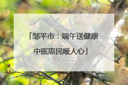 邹平市：端午送健康 中医惠民暖人心